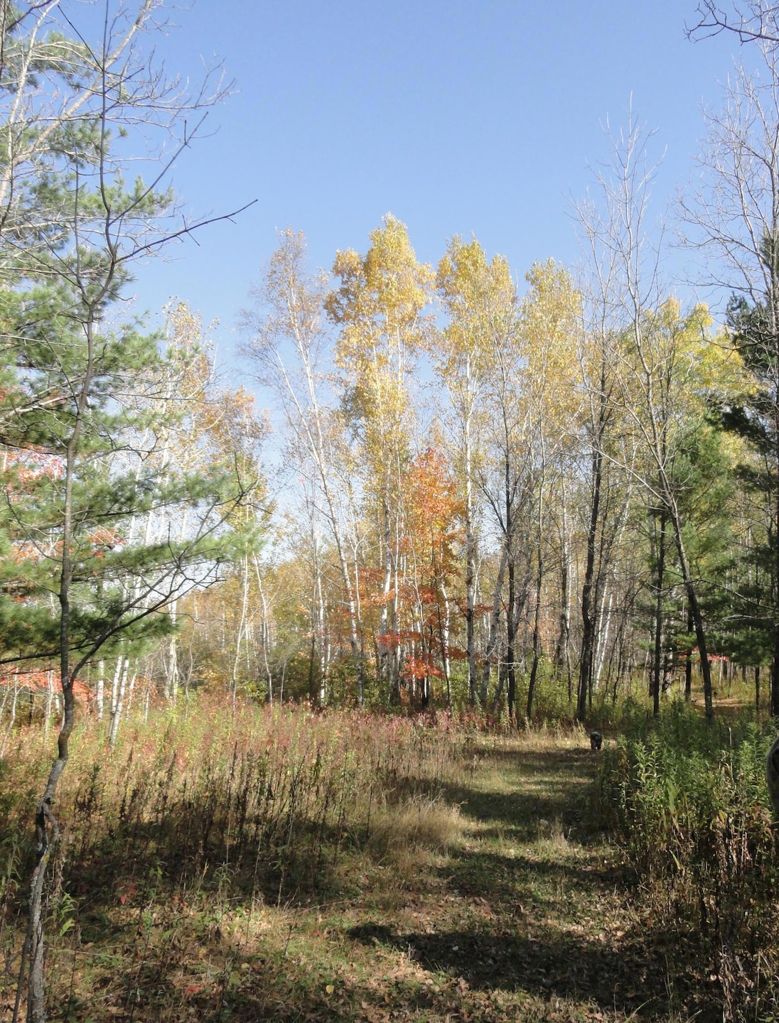 Sold $135,000 • Co-Listing Agent