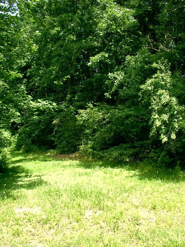 0 3rd St unit 9-12, Victoria, VA 23974 - photo 1