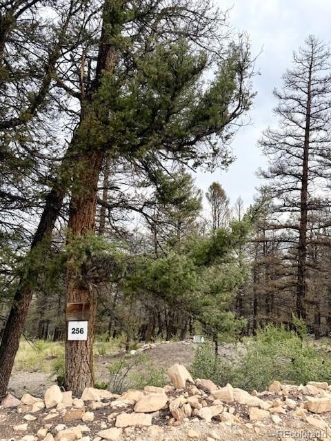 Improved Land - Lot 256