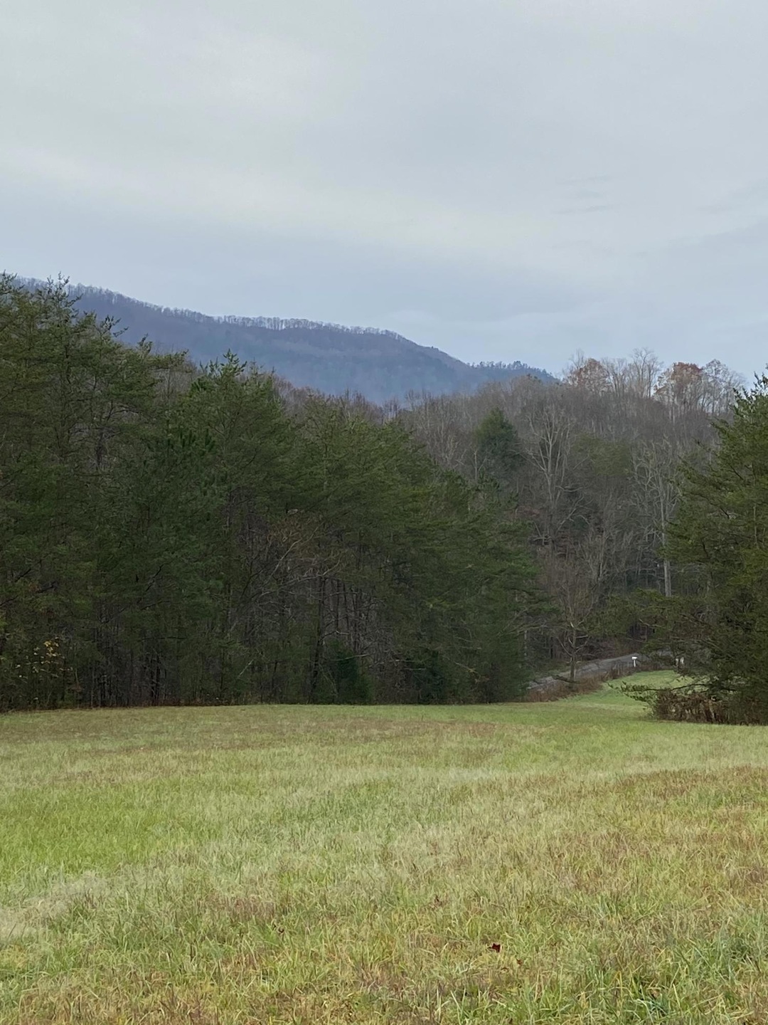 17 ac. Old Chilhowee Rd8MLS1136250