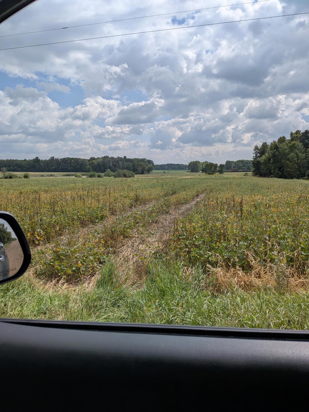 TBD 130th Ave, Brunswick Township, MN 55051 - photo 1