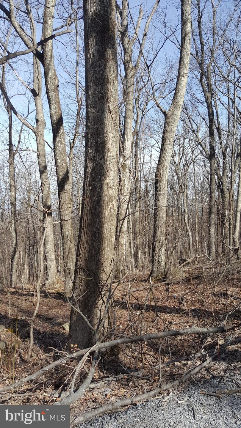 0 Moonshiner Way unit VAWR133862, Front Royal, VA 22630 - photo 1