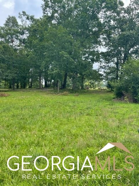 1854 S Walkers Mill Rd, Griffin, GA 30224 - photo 1