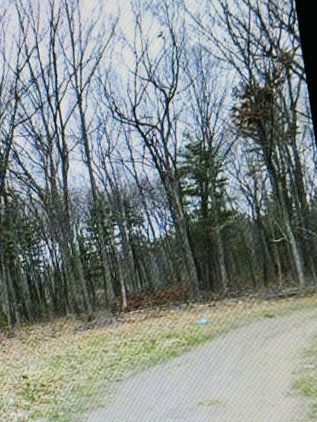 25 Matthew Ln, Windsor, CT 06095 - photo 1