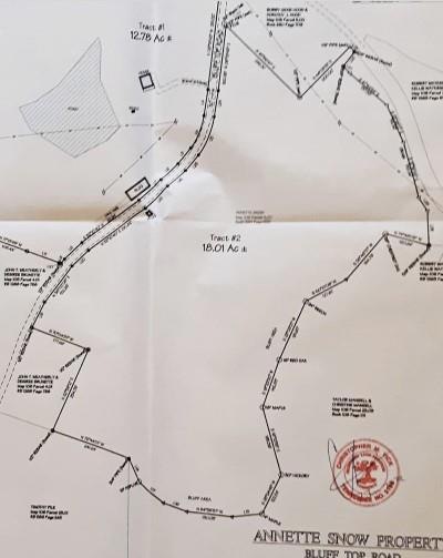 7326 Bluff Top Rd, Sparta, TN 38583 - photo 1