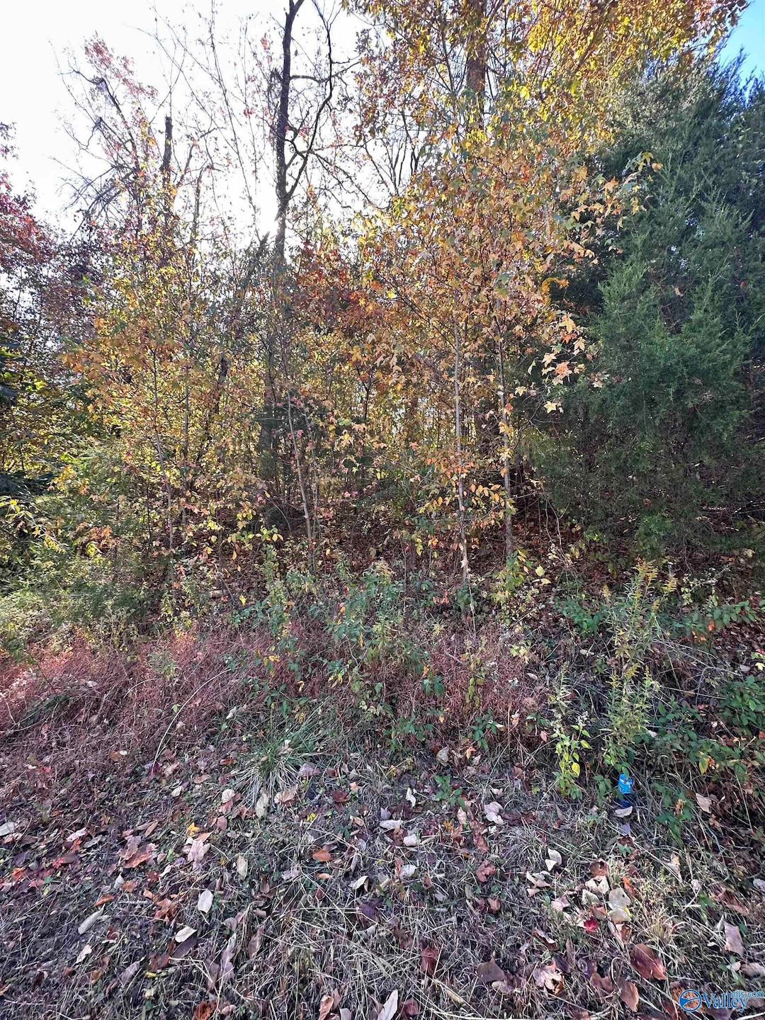 4604 Legacy Preserve Way SE, Brownsboro, AL 35741 - photo 1