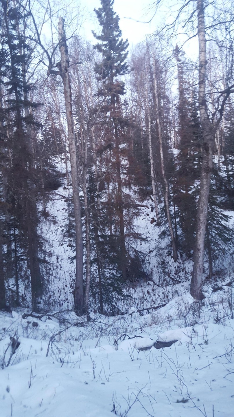 20180201_171807