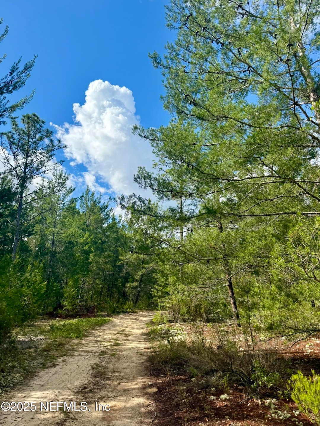 For Sale $20,000 • Co-Listing Agent