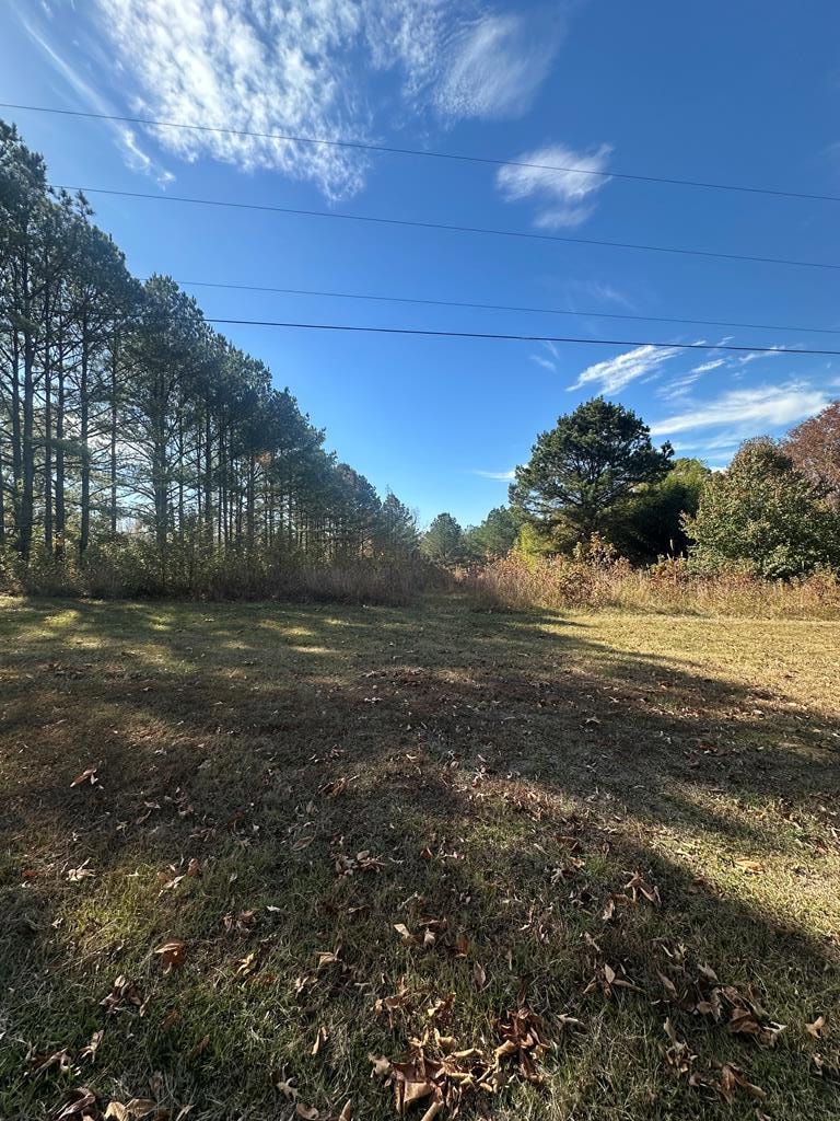 TBD Cr 111, Oxford, MS 38655 - photo 1