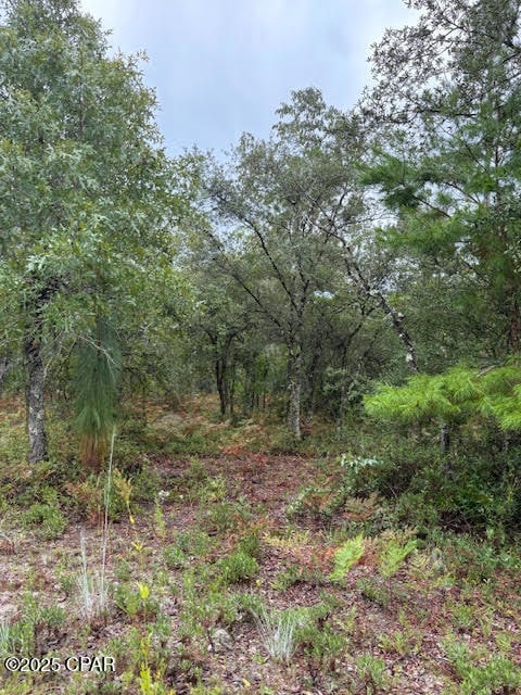 0 NW White Rd unit 781877, Altha, FL 32421 - photo 1