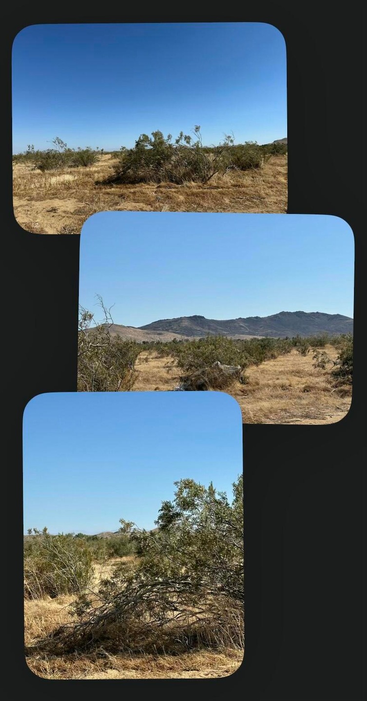 0 Gibbs Ave unit 25001165, Mojave, CA 93501 - photo 1