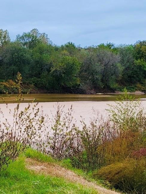 161 River View Ct, Millsap, TX 76066 - photo 1