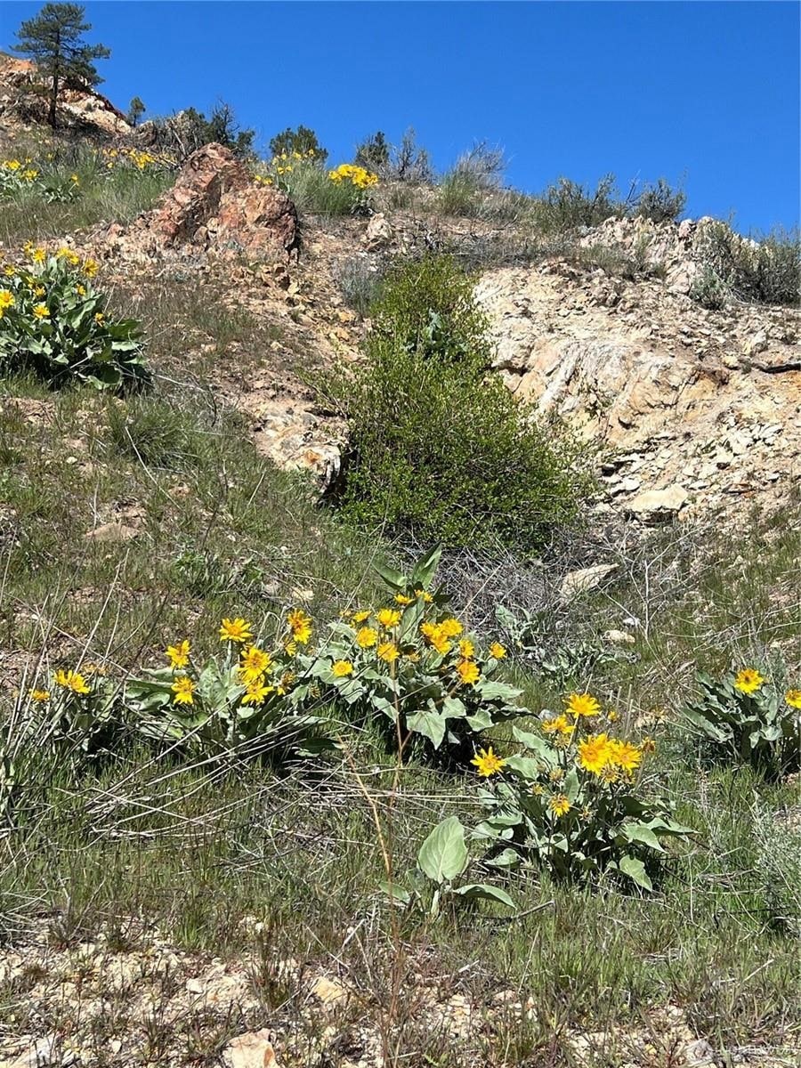 NNA Soap Lake Rd, Malott, WA 98829 - photo 1