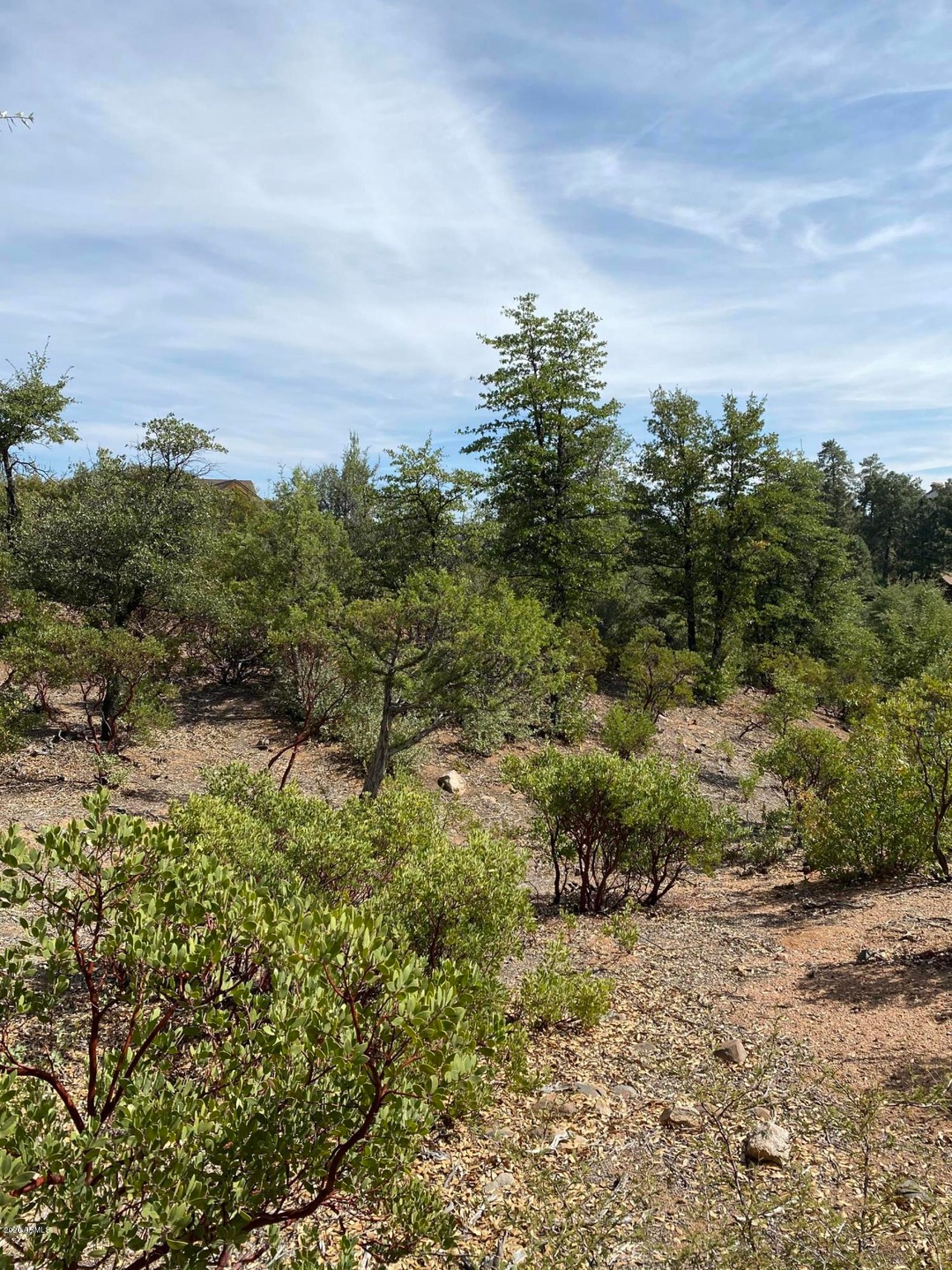 2808 E Coyote Mint Cir unit 54, Payson, AZ 85541 - photo 1