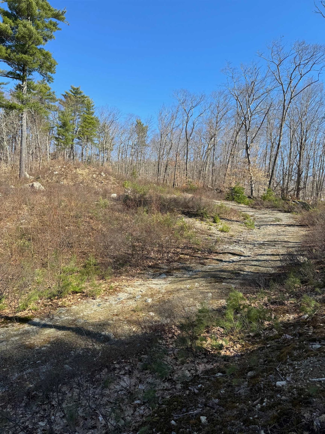 Private 1,000' Driveway