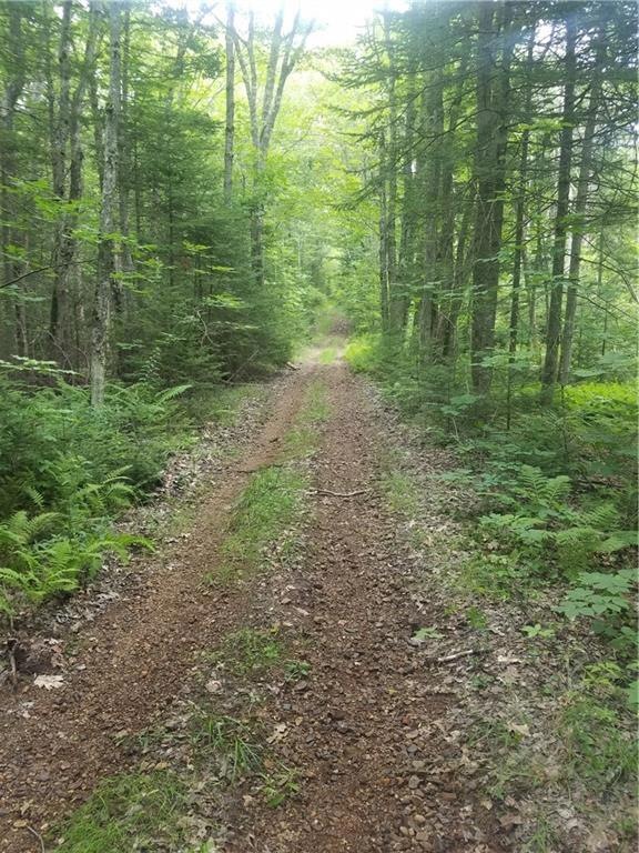 Roadway on parcel