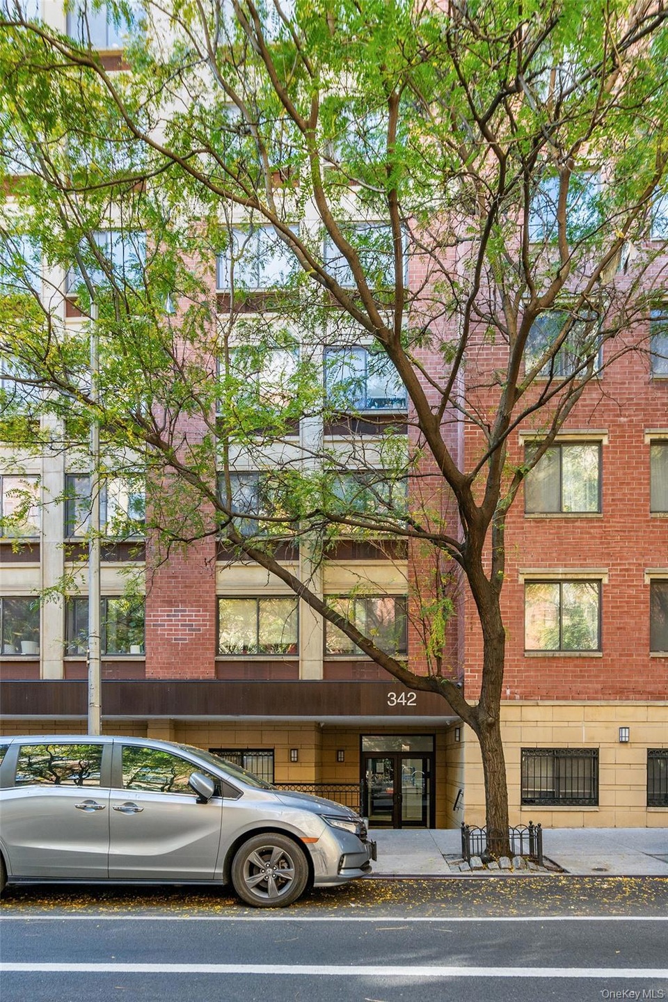 342 E 119th St unit 1F, New York, NY 10035 - photo 1