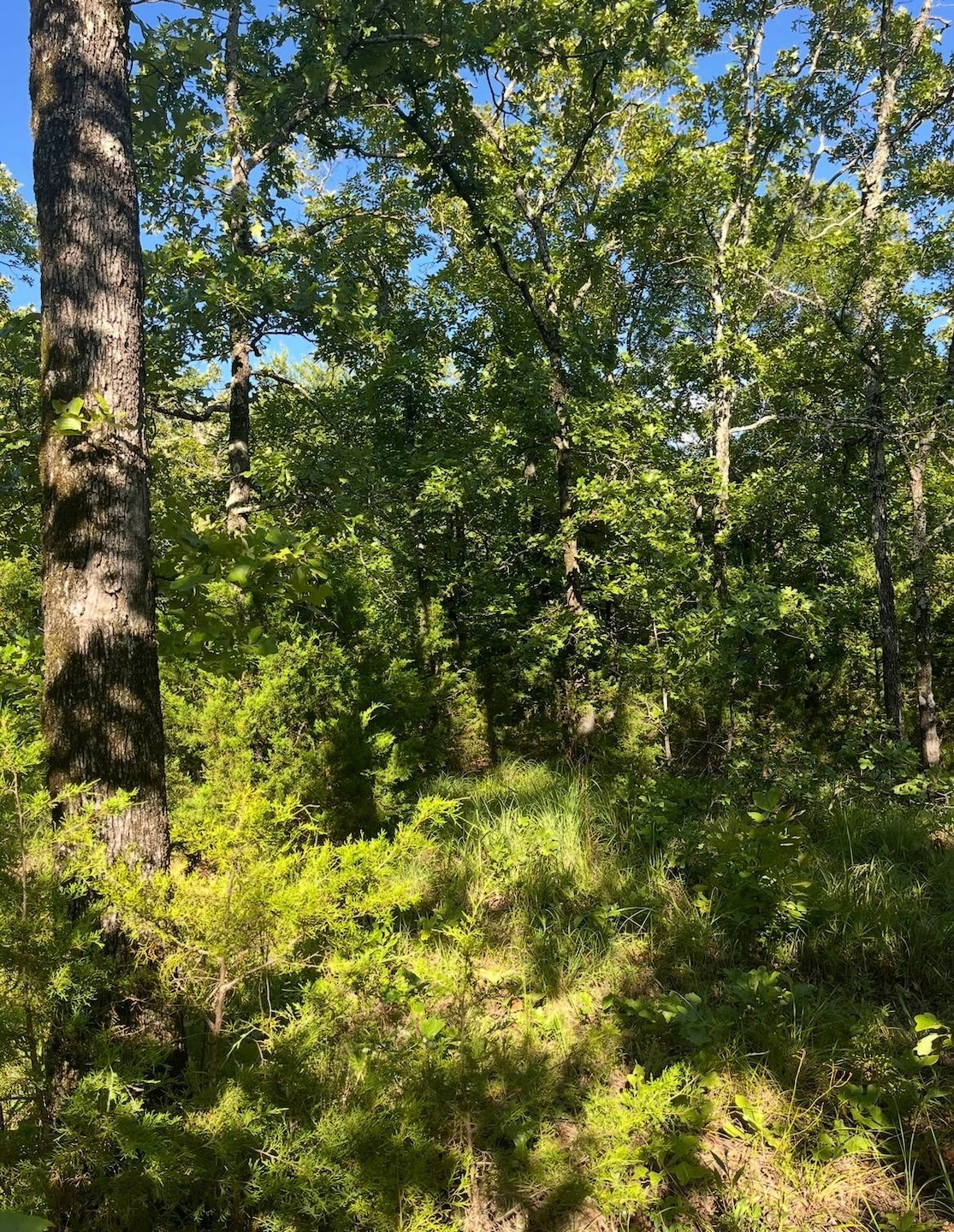 Tract 9B SE 1083 Road Ave, Red Oak, OK 74563 - photo 1