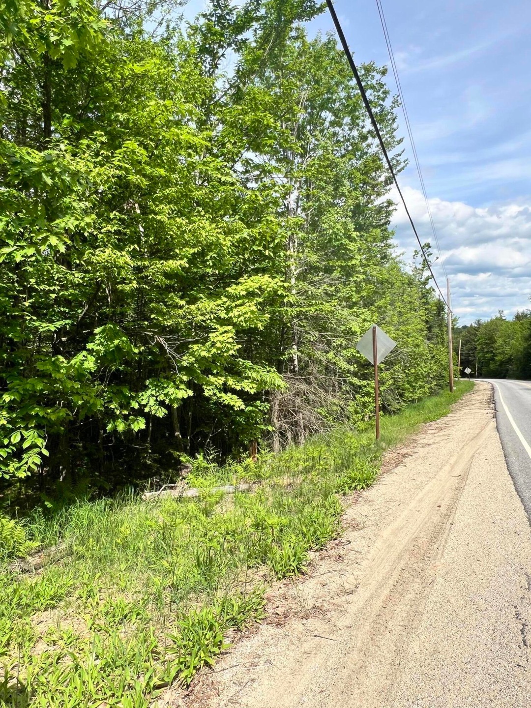 Road View