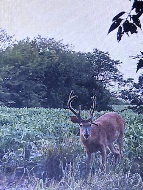 0 NE Camden Rd unit 11614061, Maysville, MO 64469 - photo 1