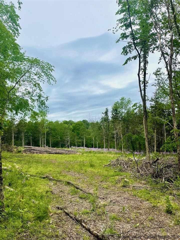 2015 Berme Rd, Kerhonkson, NY 12446 - photo 1