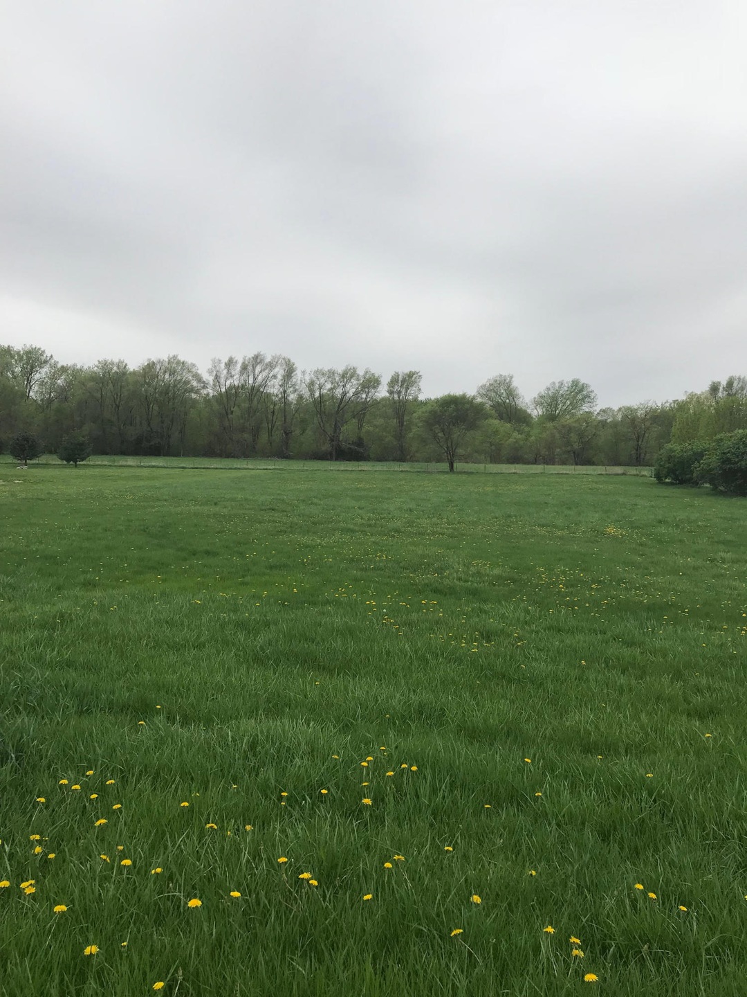 Land picture