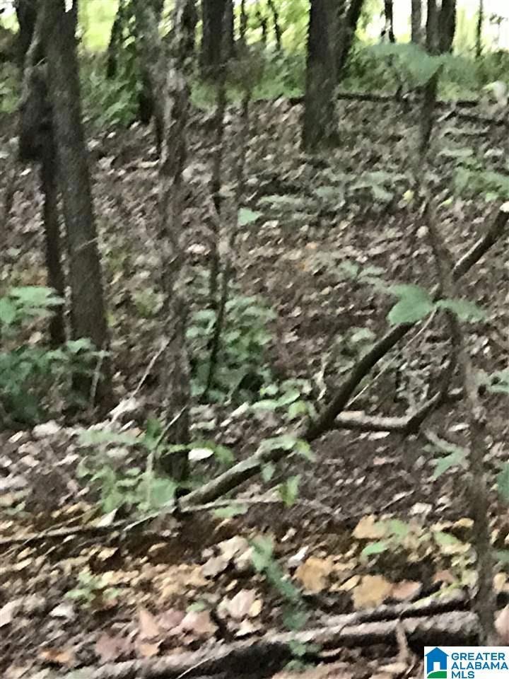 0 Bay Pointe Dr unit 92 21374545, Alpine, AL 35014 - photo 1