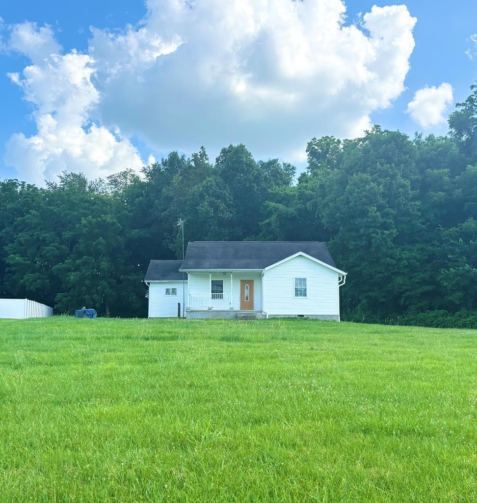 Main View