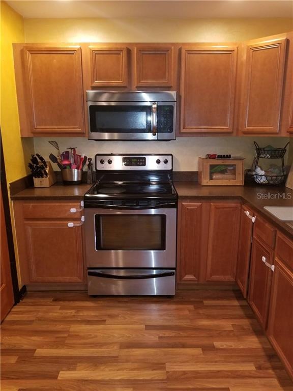 9701 Simeon Dr, Land O Lakes, FL 34638 - photo 1