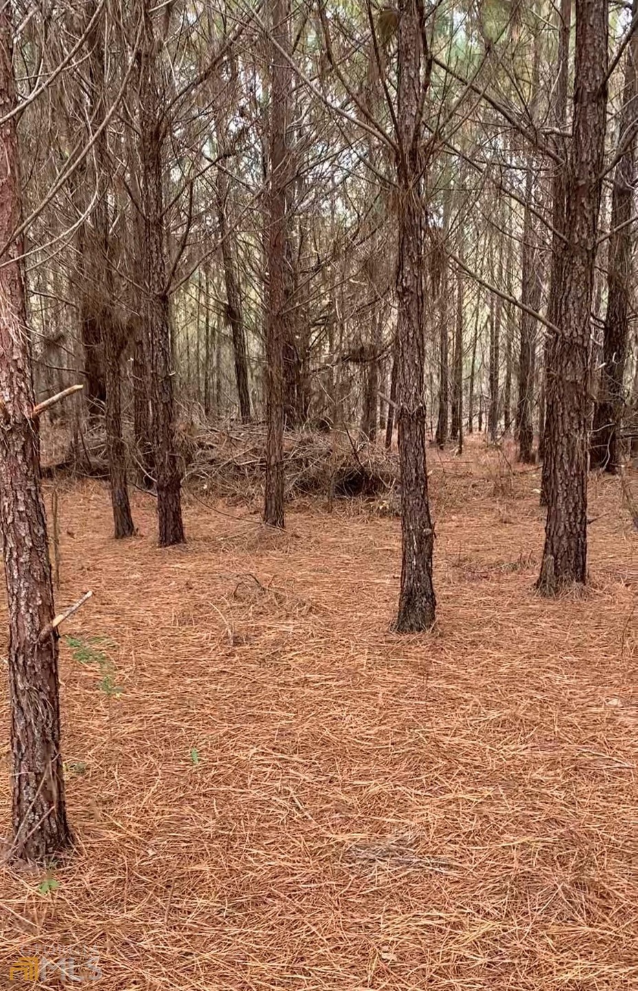 0 Whitman Rd unit 20021838, Bowdon, GA 30108 - photo 1