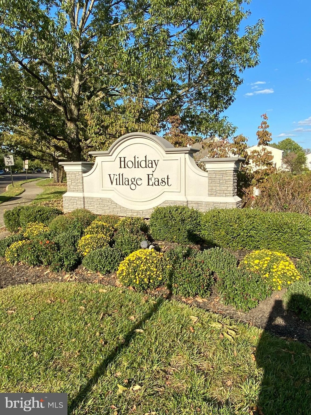 315 Moonseed Place, Mount Laurel, NJ 08054 - photo 1