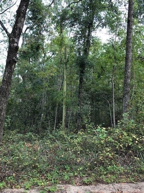 0 Stanley Dr unit 1, Crawfordville, FL 32327 - photo 1