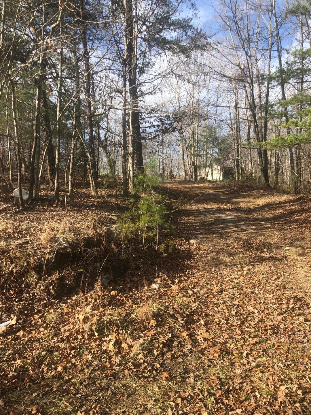 Dale Trail