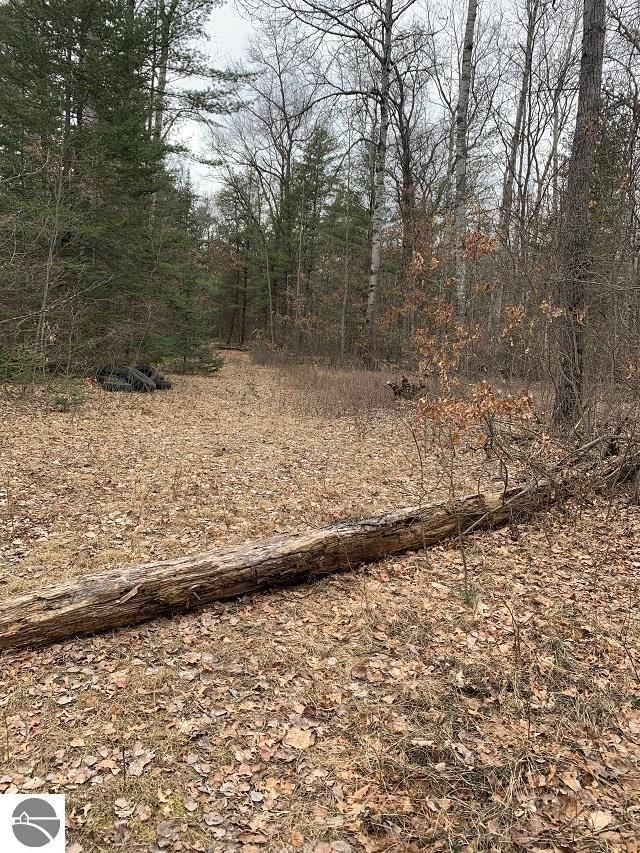 0 Morrison Rd unit 1898517, Alger, MI 48610 - photo 1