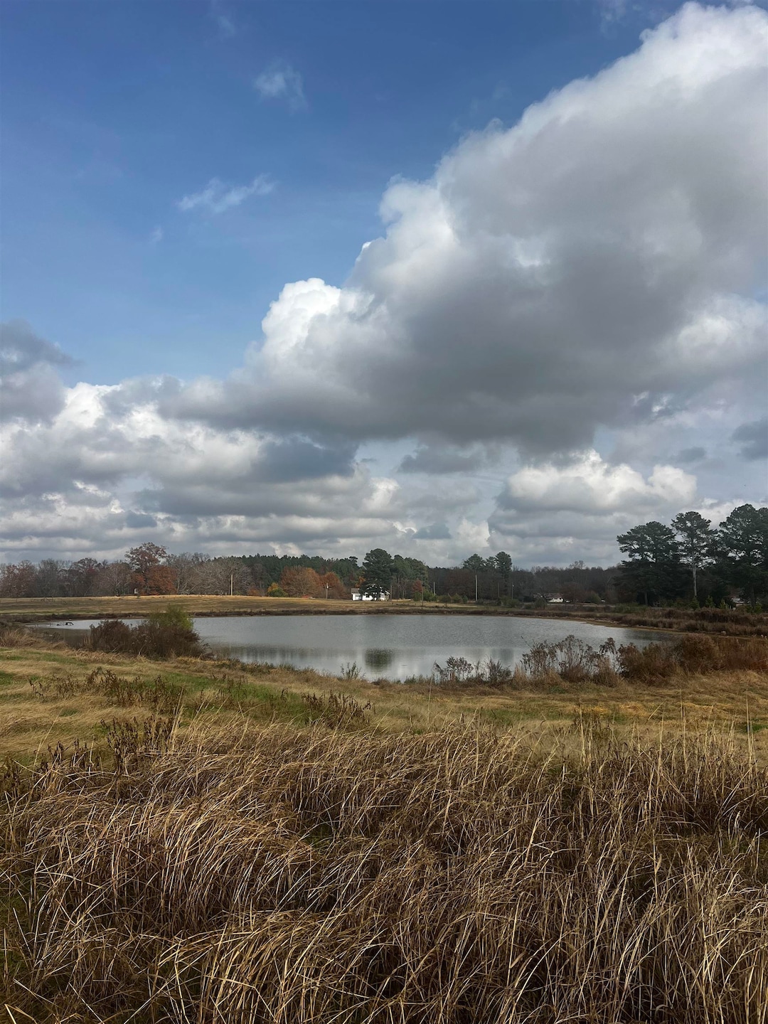 00 County Road 77, Arley, AL 35541 - photo 1