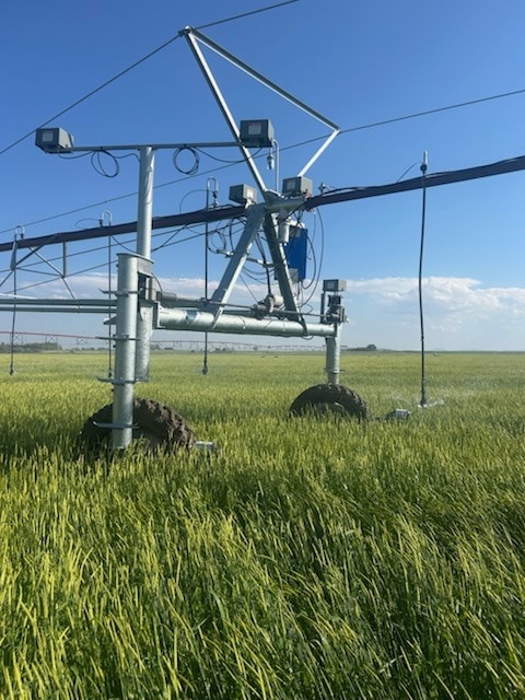 NHN S 1st Rd, Fort Shaw, MT 59443 - photo 1