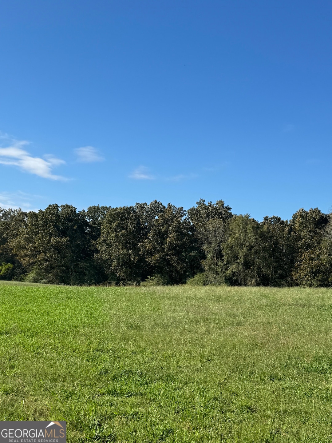 0 Georgia 142 unit B-2 (S-1), Shady Dale, GA 31085 - photo 1