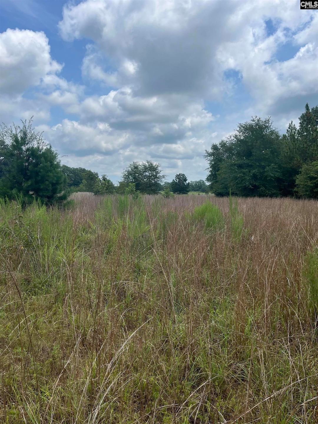 BHL 3 Boise Cascade Rd unit BHL 3, Bethune, SC 29009 - photo 1