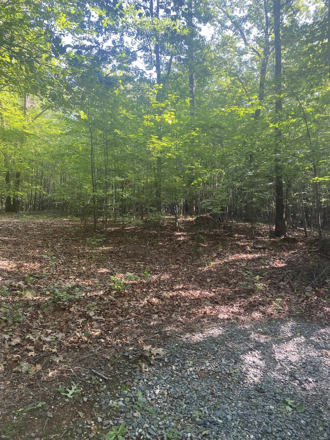 00 Dark Oaks Dr, Pittsboro, NC 27312 - photo 1