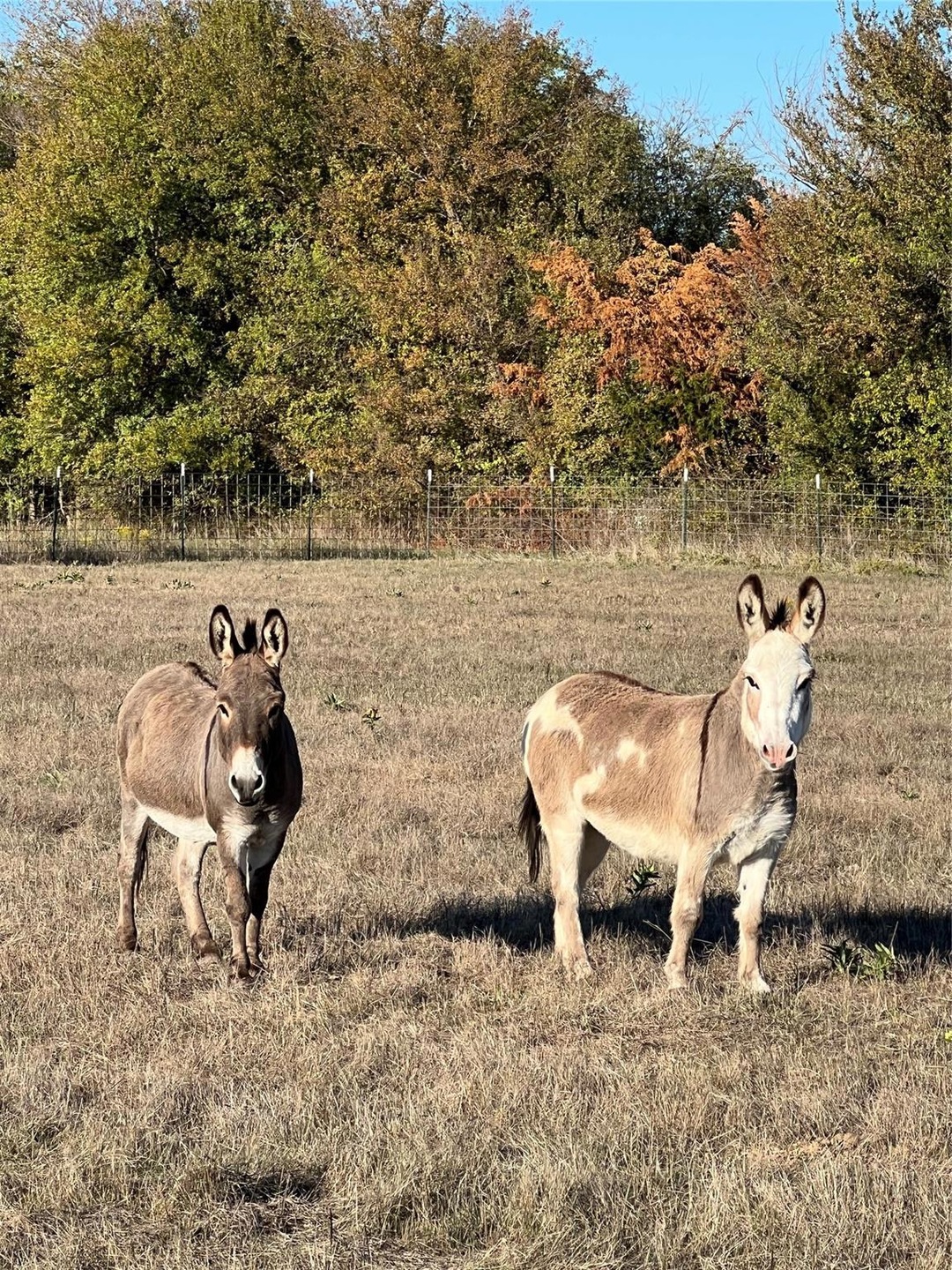 18872 NW County Rd 3360