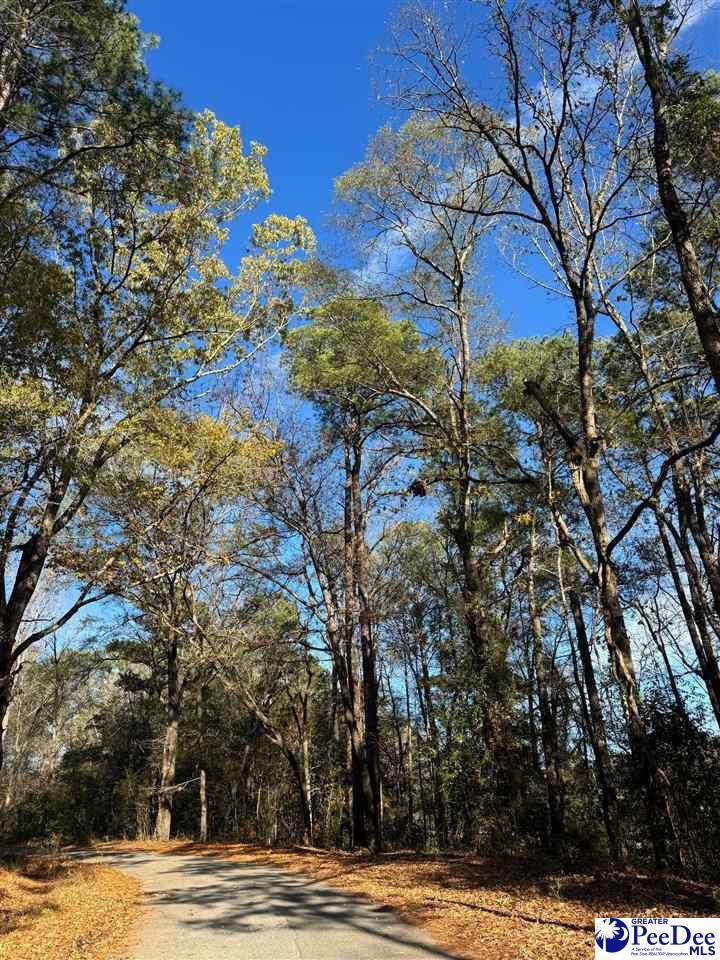 TBD Wilson St, Society Hill, SC 29583 - photo 1