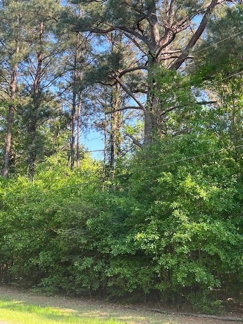 0 Raehyo Ln, Folsom, LA 70437 - photo 1