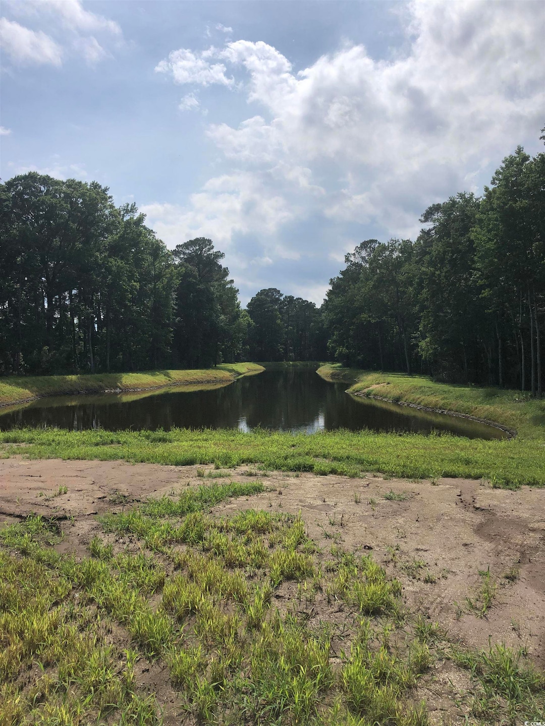 Surrounding community with a view of trees and a water view