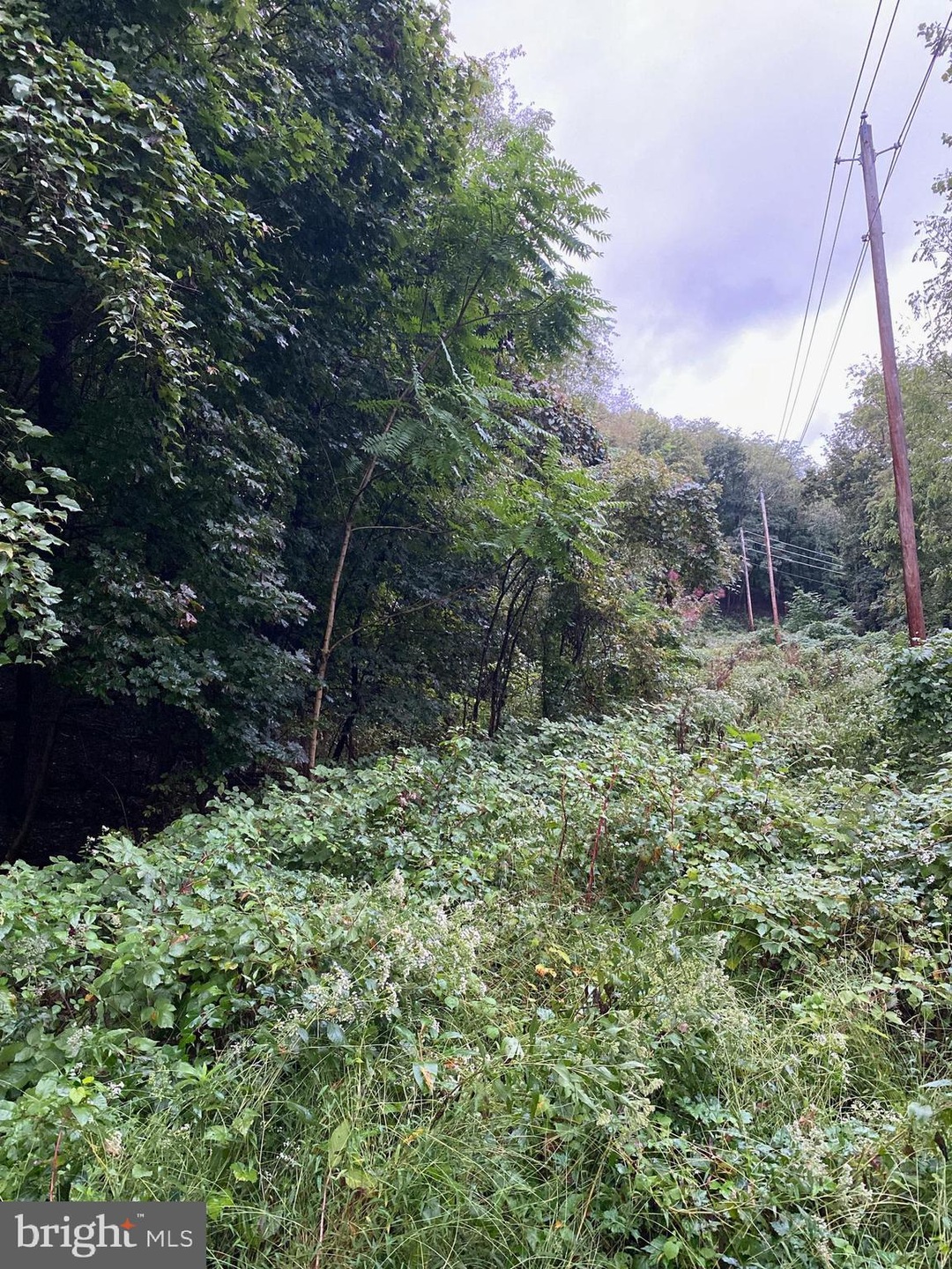 0 Sheridan Place, Cumberland, MD 21502 MLS MDAL2000962