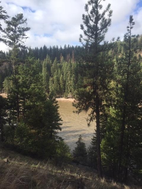 Randy's river lot