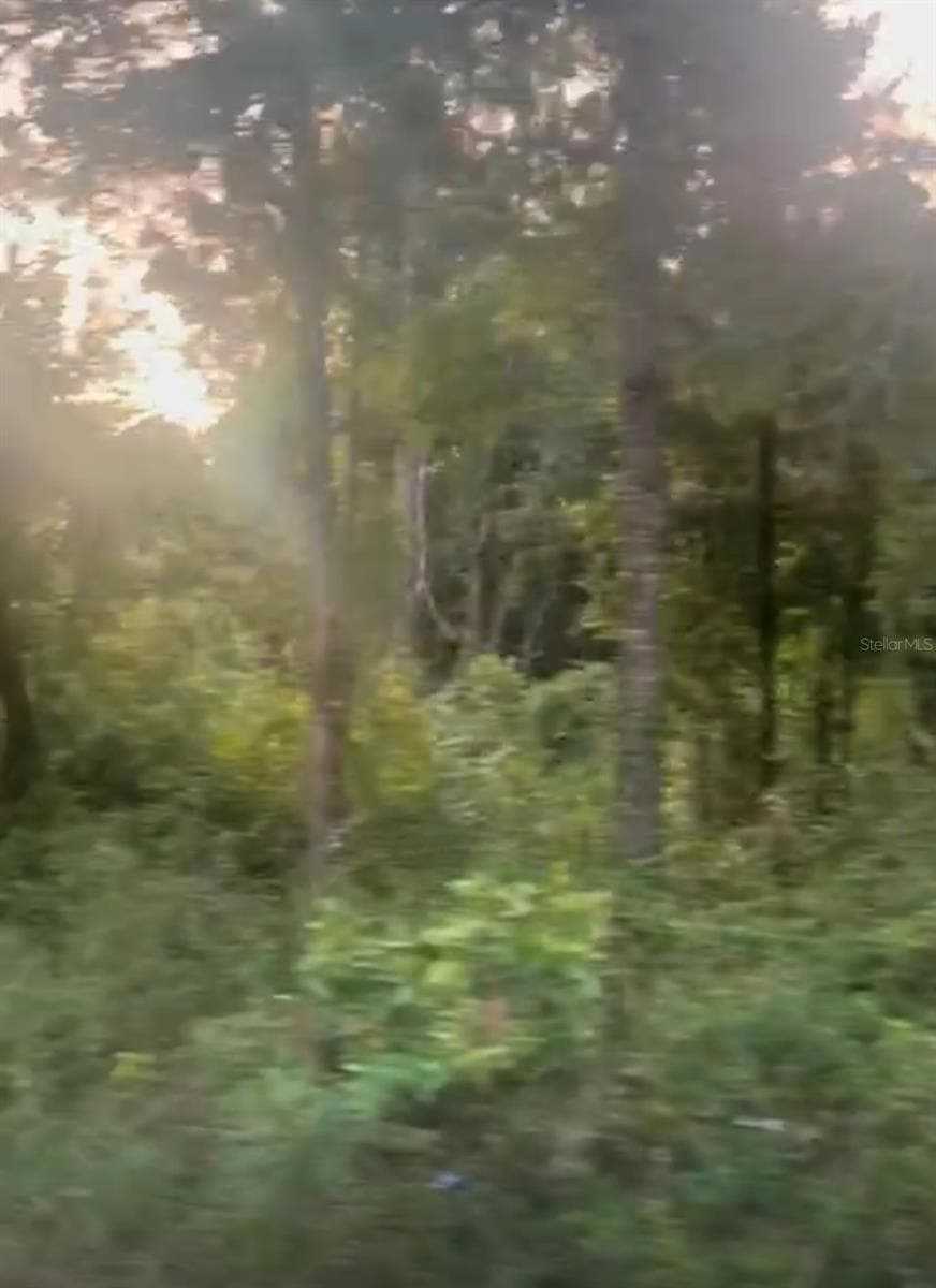 0 NW 20th St unit MFRS5117396, Ocala, FL 34482 - photo 1