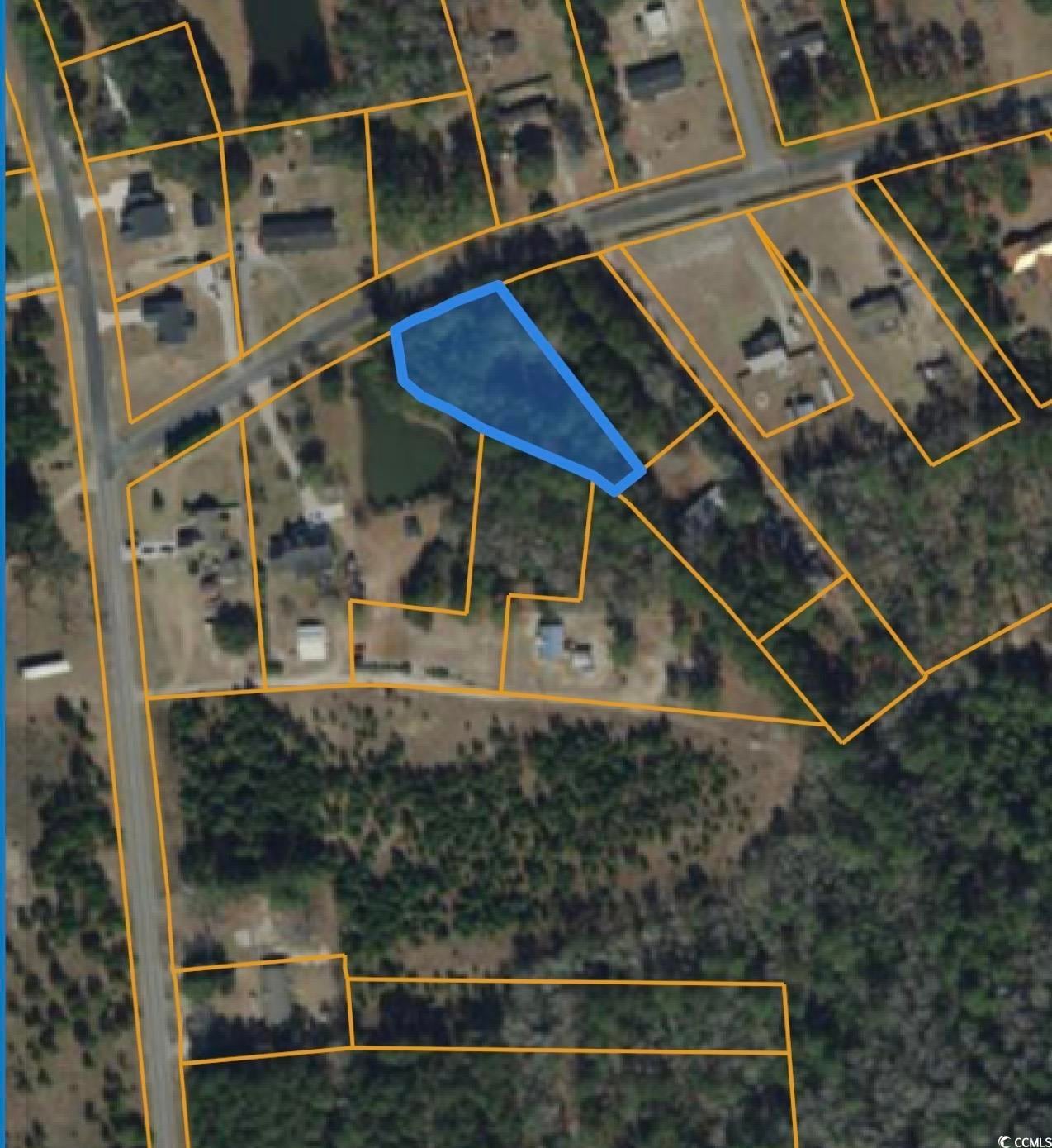 Lot 1 Goretown Loop, Loris, SC 29569 - photo 1