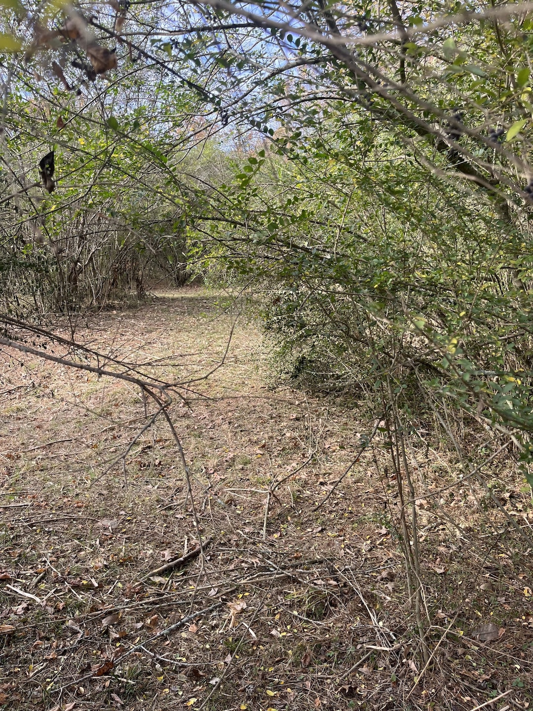 3371 Freeman Hollow Rd, Nashville, TN 37072 - photo 1