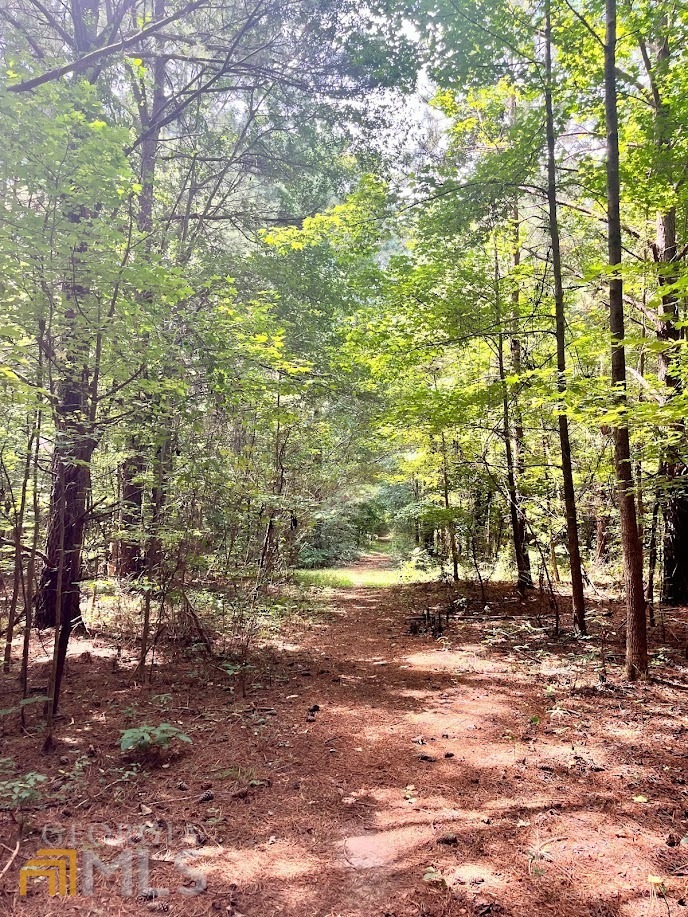 0 Smith Ave unit 10079832, Bowdon, GA 30108 - photo 1