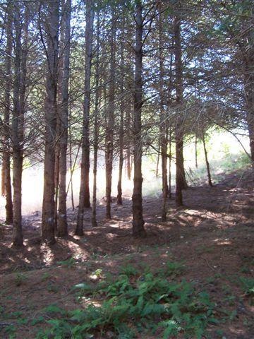 View of Property